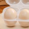 Clear Egg Protection Box 6 Grid Egg Holder Reusable Egg Carton with Egg Dispensers Egg Carriage for Refrigerator Camping Picnic