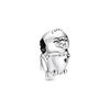 925 Silver American Bald Eagle Charm Women Charm 799029C01