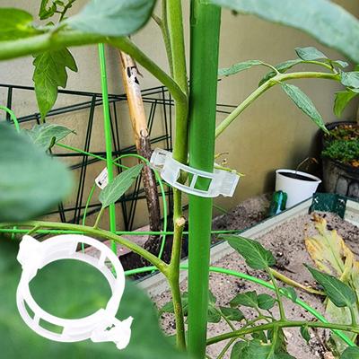 100/200/300 Pcs Plant Clips Plastic Plant Support Clips Reusable Tomato Trellis