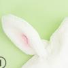 Daiso Rabbit Bundled Earmuffs