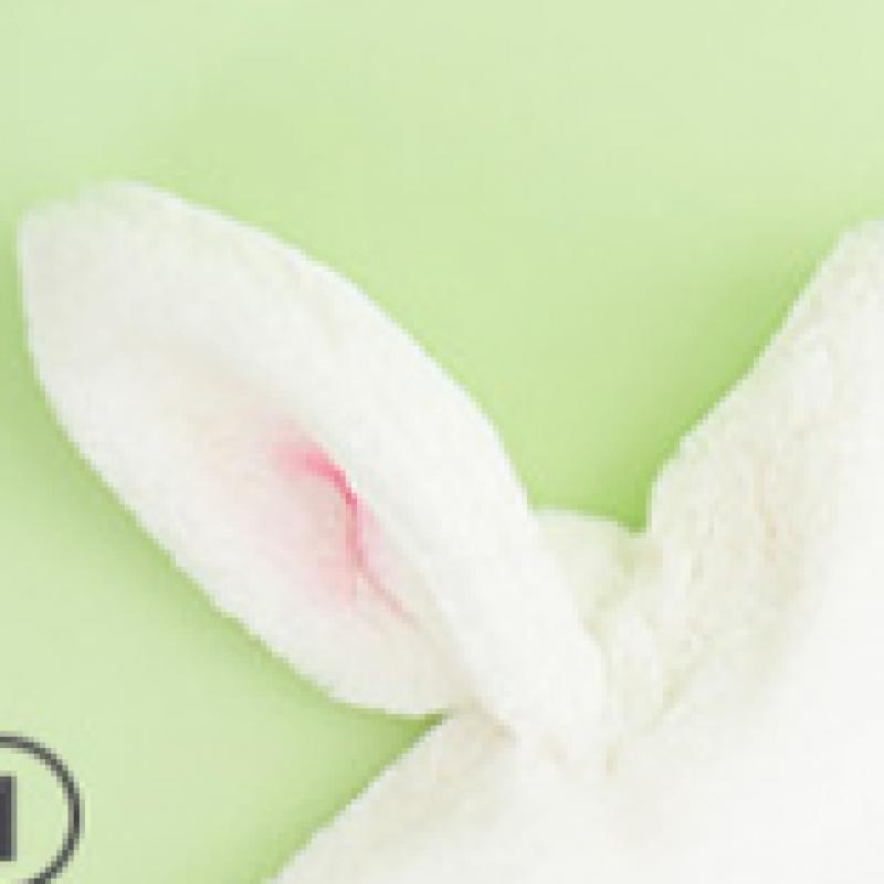 Daiso Rabbit Bundled Earmuffs