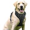 Reflective Nylon Dog Harness and Leash for Large Breeds