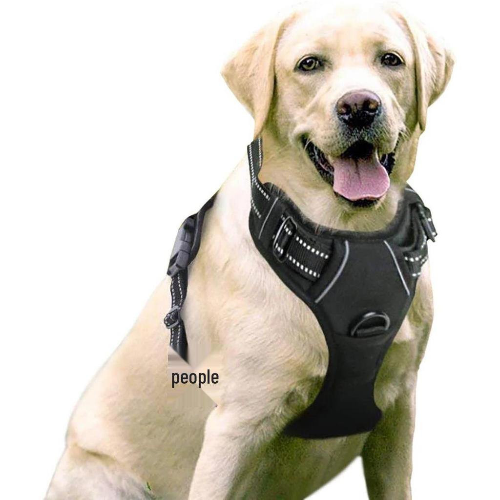 Reflective Nylon Dog Harness and Leash for Large Breeds
