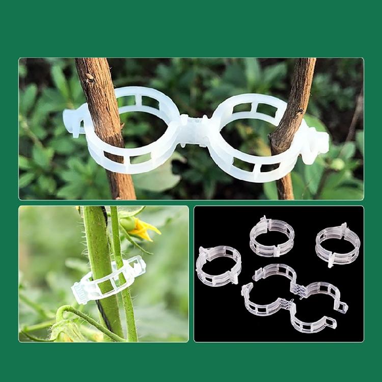 100pcs Functional Garden Plant Support Clips Practical Garden Clips For Securing Tomato Stem And Vegetable Plant