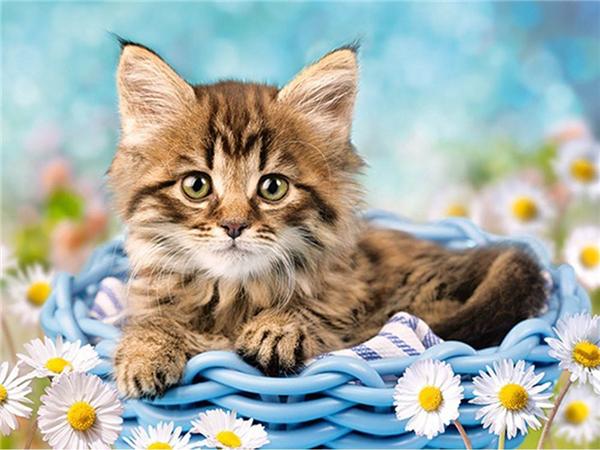 Diy Diamond Painting Bird Home Decor Mosaic Spring Flower Animal Embroidery Handmade Gift Wall Stickers