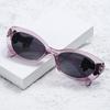 2026 Trendy Cat Eye Sunglasses with Bow – UV Protection for Stylish Women