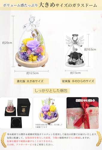 Preserved Flowers, Birthday Gift for Women, Large Angel Glass Dome, Never-Dying Purple-Yellow Roses, Popular Gift for White Day, Respect for the Aged