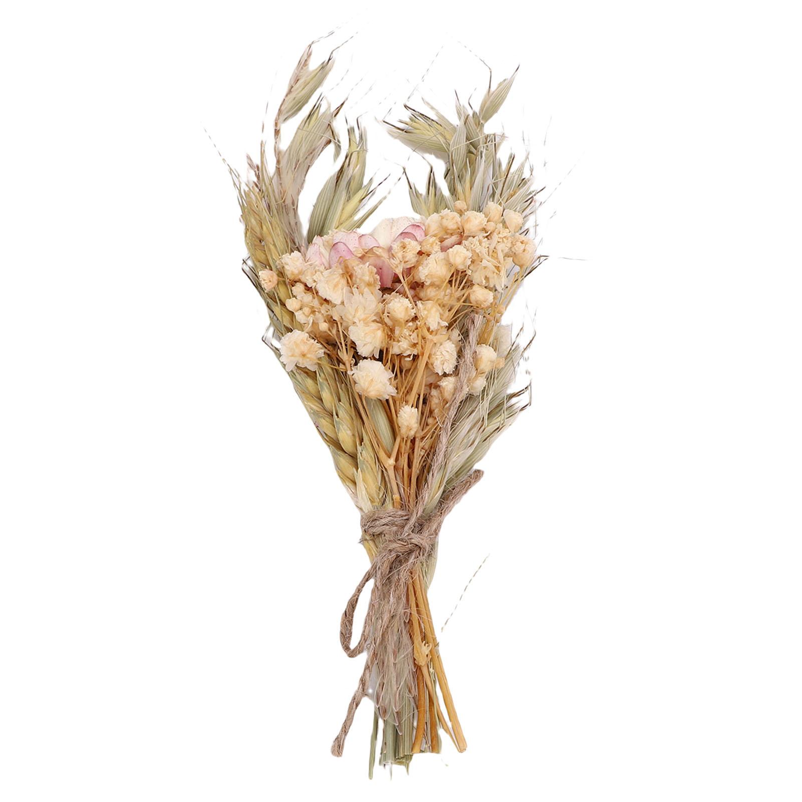 

Мини букет из сухоцветов Свадебный Ручной работы Сухие цветы Вечеринка по случаю дня рождения Домашний декор