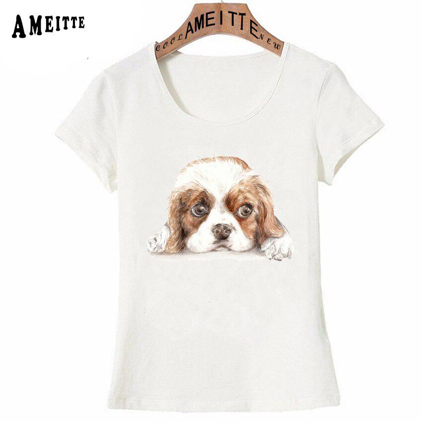 Buy Cavalier King Charles Spaniel Print 