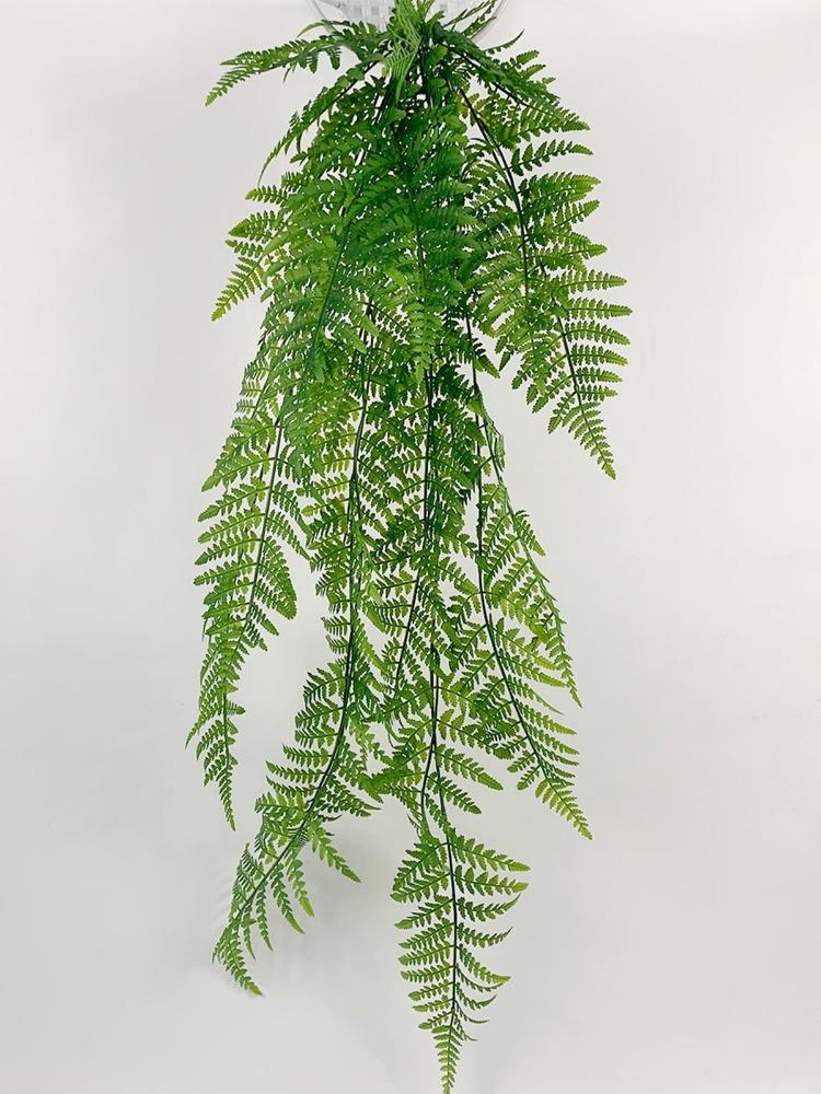 glücksfeder gelbe spitzen Glücksfeder | Zamioculcas zamiifolia