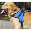 Purple Pet Puppy Large Dog Medium Dog L-Type Harness + Leash Set L, Blue