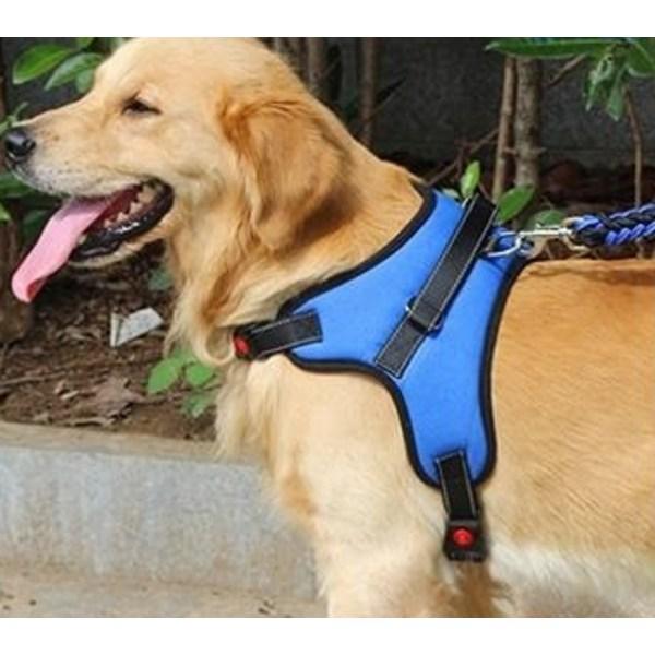 Purple Pet Puppy Large Dog Medium Dog L-Type Harness + Leash Set L, Blue