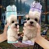 1PC White Fluffy Bichon Puppy 750ml Color Plastic Sports Water Bottle Leakproof Flip Straw Lid Suitable for Sports Office Home Use