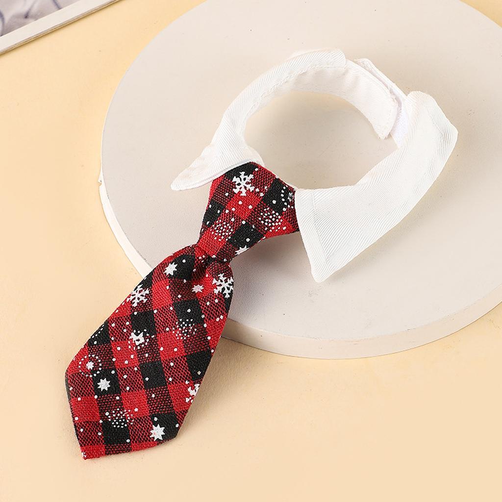 Zwierzęta Angielski- Akcesoria: Muszka, Szalik i Obroża dla Małego Psa