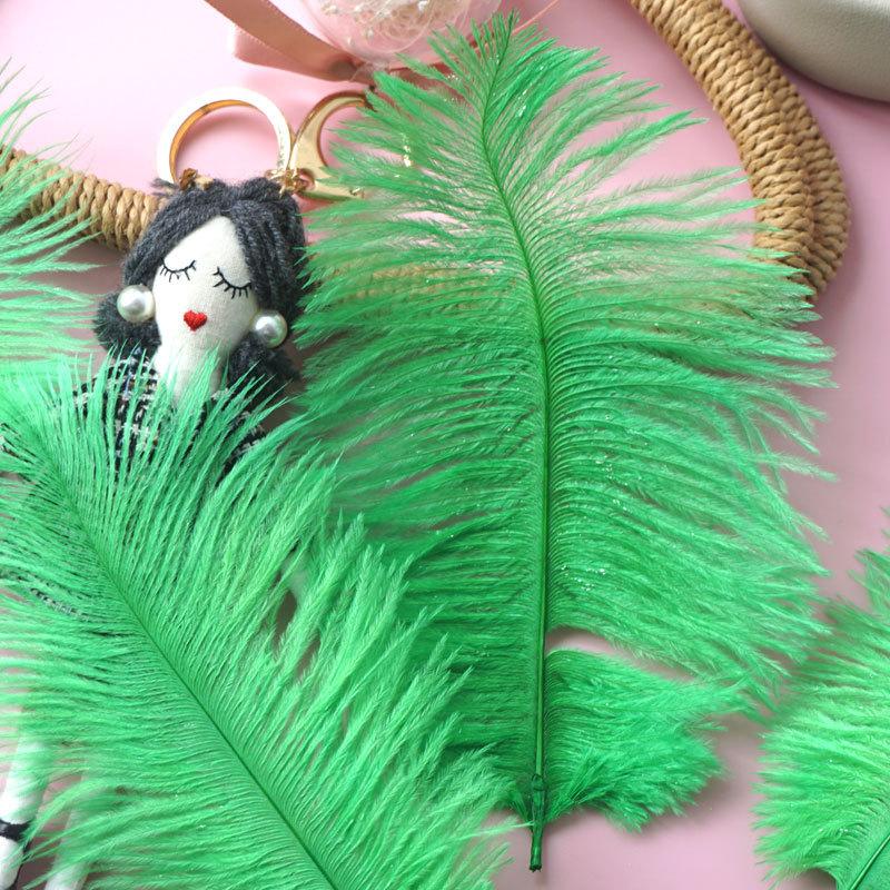 Colored Ostrich Hair 15-20Cm Wedding Ornament Wall Decoration Feather Wall Hand Bouquet Diy Dream Catcher Material