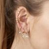 925 Silver Ear Needle White Crystal Gold Earrings for Women Luxury Water drop/Heart/Flower Pendant Earring Fine Jewelry