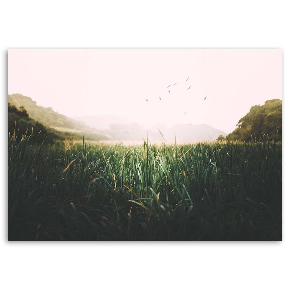 Plátno, Ptáci na mokřadu