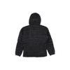Пуховые куртки и пальто Arc'teryx Cerium Зимние мужские 21337