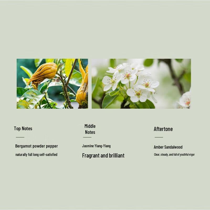 Ban Mu Hua Tian Garden Jasmine Amino Acid Shower Gel