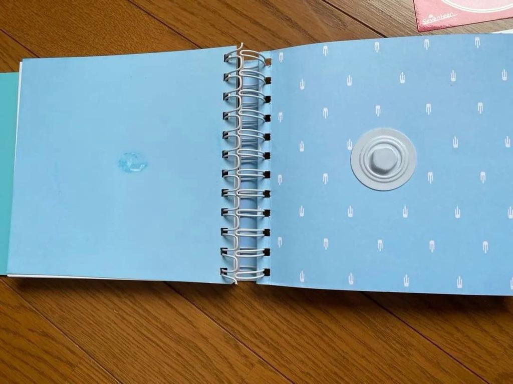 [GEBRAUCHT] Seventeen Special Album (Keine CD)