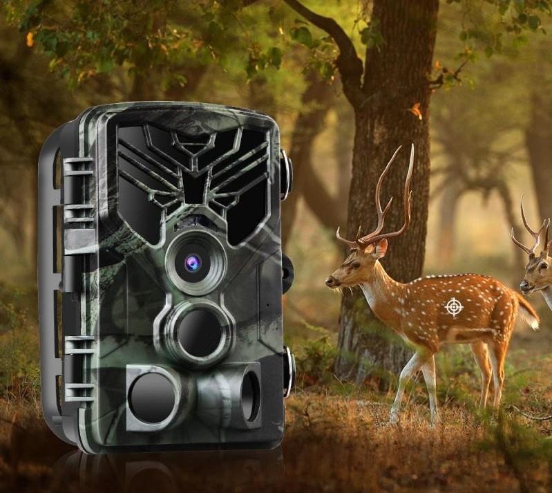 Hunting Camera Outdoor Trail Camera HC-810A 24MP-2.7K 0.3 Seconds