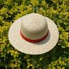 ONE PIECE Luffy Beach Hat Children's Outdoor Shade Sun Protection Straw Straw Hat Male and Female Students Travel Straw Hat