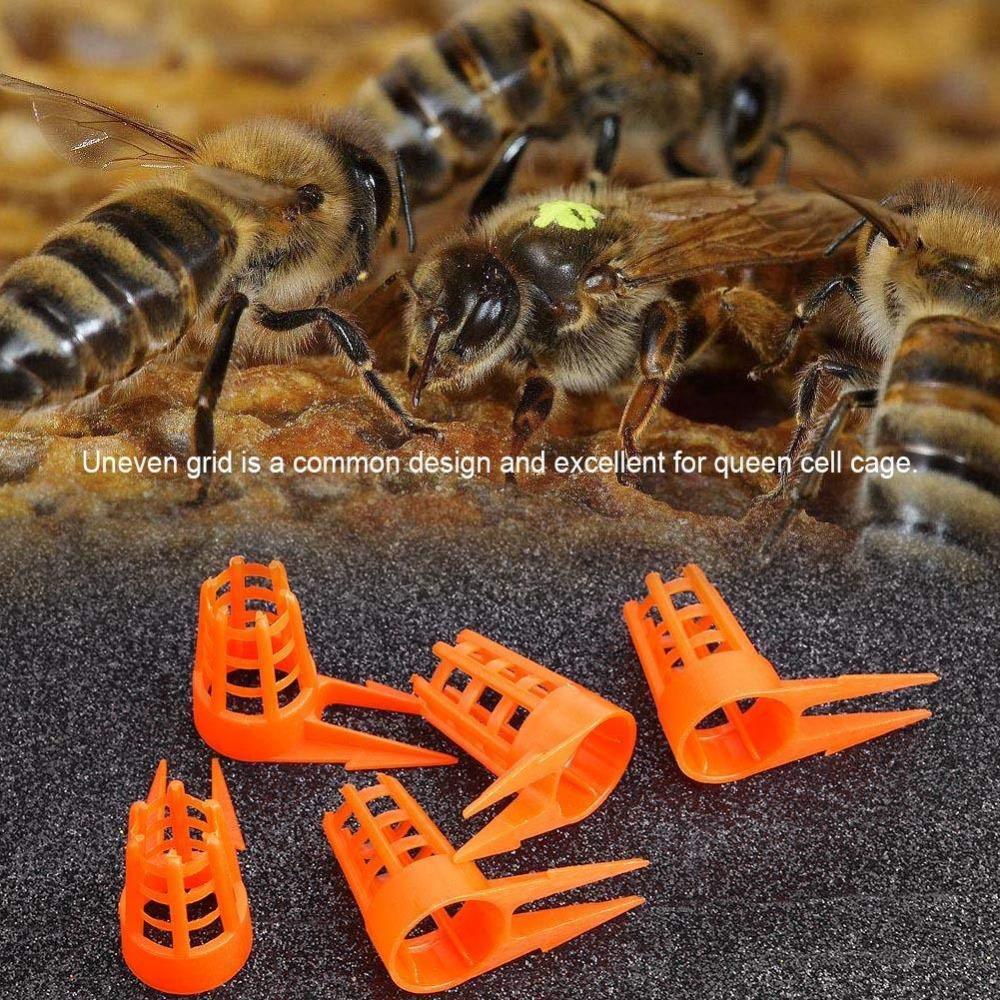 

20pcs Protective Beekeeping Cage Covers Forked Thorny Beekeeping Tools Safe Bee Queen Caps 20 Caps
