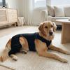 Adjustable Dog Leg Rehabilitation Suit Breathable Dog Knee Brace  Wound Protection