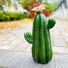 New Cactus Solar Crafts Decoration Patio Decoration Outdoor Garden Balcony Villa Home Decoration Accessories Feng Shui Figure