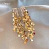 Sequined Long Fringed Earrings Women's New Popular Stud Earrings Niche European and American Style Earrings