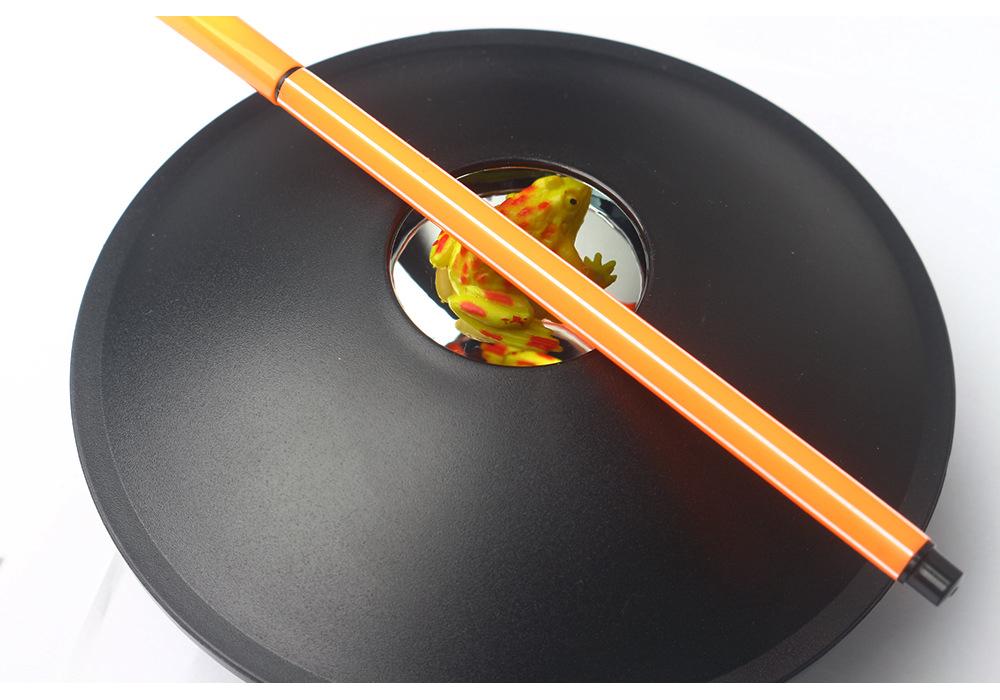 Optical Illusion Box: Educational Science Toy with Frog & Ladybug Refractions - Perfect for Students & Birthdays