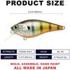 Lucky Craft USA FAT CB BDS Magic Flake Kabuki Fishing Lure Crankbait 2.2 (175 Gill)