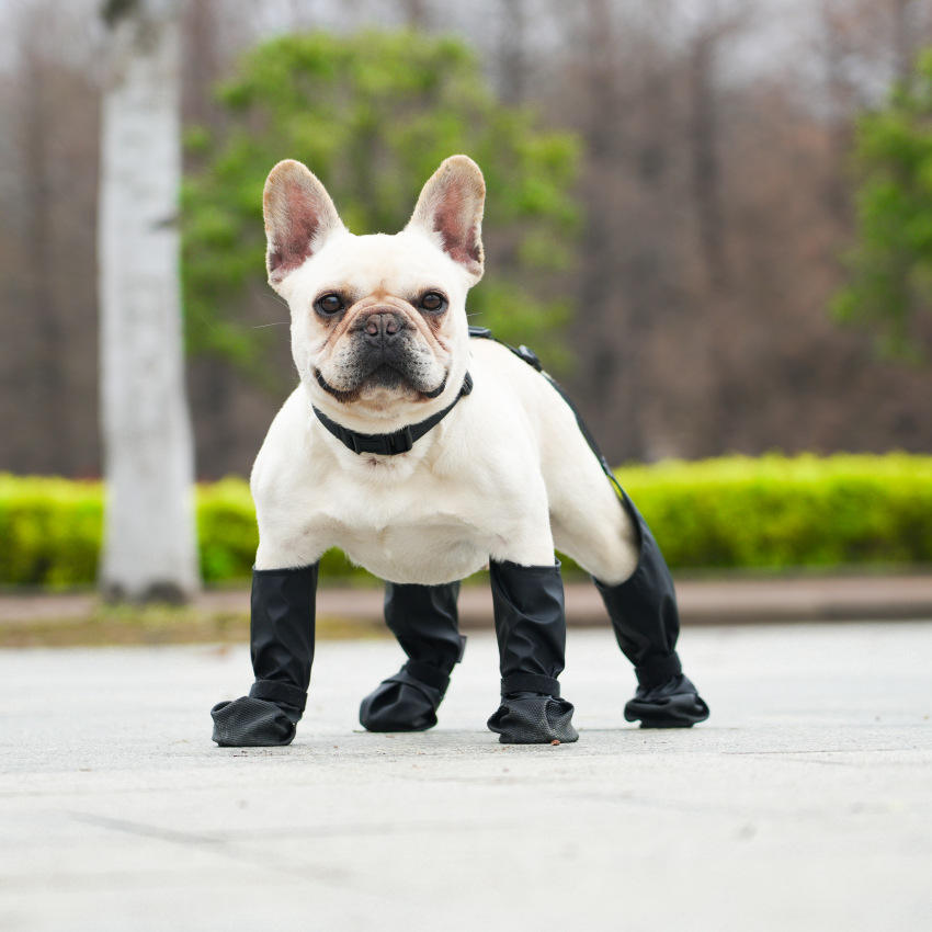 Breathable Waterproof Dog Paw Boot Leggings Anti-Slip Outdoor Walking Dog Shoes for Rainy Days Classic Design Solid Pattern