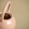 Keramická konvice na čaj Jingdezhen s pivoňkou, příslušenství kung-fu čajové soupravy, ucpaná konvice na čaj