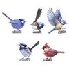 5 PIÈCES Productions d'Oiseaux Détaillés en Métal Pour Affichage Extérieur Sur Clôture Arbre Ou Fenêtre