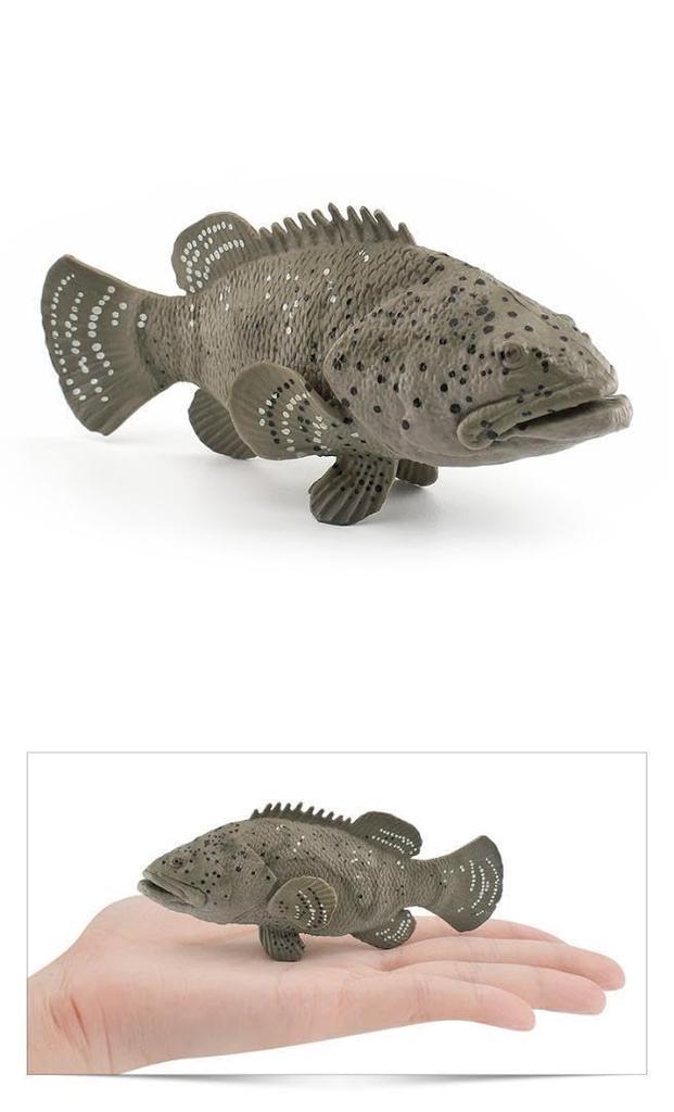 [Nekogami-yama] Grouper (Hata, Mibai) - Sea Fish, Shore, Figure, Model, Miniature, Ornament, Interior Decor, Collector's Item