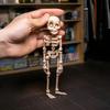 Poseable Skeleton Refrigerator Magnet Halloween Skeleton Figurine with Movable Joints Articulated Gothic Skeleton Magnetic Fridge Decoration Ornament