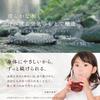 Uchibori Brewing Fruit Vinegar Grape Blueberry Drinking Vinegar 1L Unsweetened Juice Dilution Bottle Japan