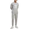 Adidas Originals ADICOLOR CLASSICS TREFOIL Sweatshirt Men's Gray IA4857