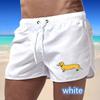 2025 Summer New Men's Quick-Drying Swim Trunks Sports Pants Swimwear Beach Shorts Jogging Shorts Dog Print