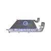 Howo Zhonghan Dump Truck Intercooler Radiator Assembly WG9525531102