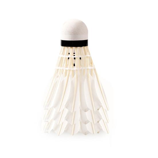 12Pcs Professional Badminton Shuttlecocks Tournament Grade Training Badminton Shuttlecocks High Speed Stable Flight Sport Accessories