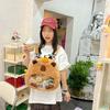 Zipper Bag Transparent Doll Bag Shoulder Bag Anime Backpack Portable Capybara Itabag  Gift
