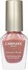Canmake Colorful Nails N99 Tgif 8ml Nail High Color Fast Drying Rose Gold 99 Tgif