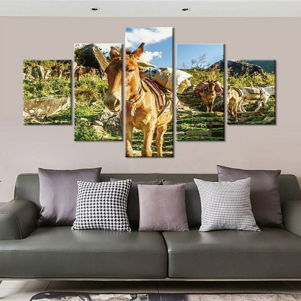 5Pcs Donkey Animal Landscape Decor Pictures Canvas Poster HD Print Home Decor No Framed Room Decor Wall 5 Panel Abstract Art