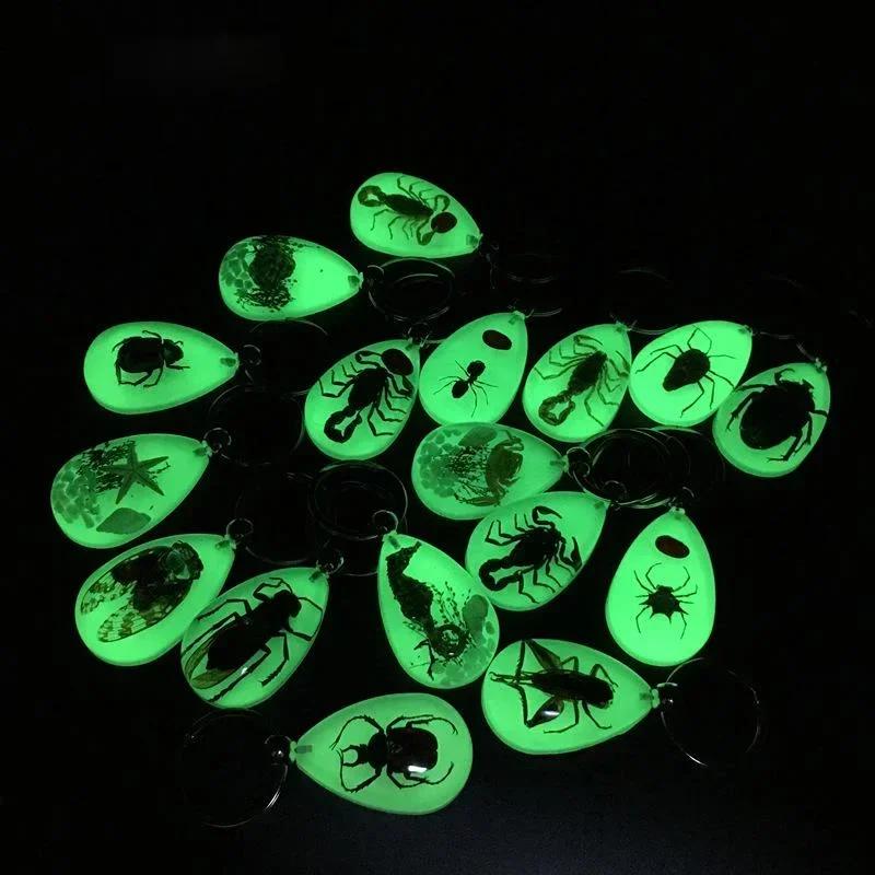 1PC New Resin Insect Keychain Luminous Scorpion Insect Specimen Pendant Random Color Cute Keychain