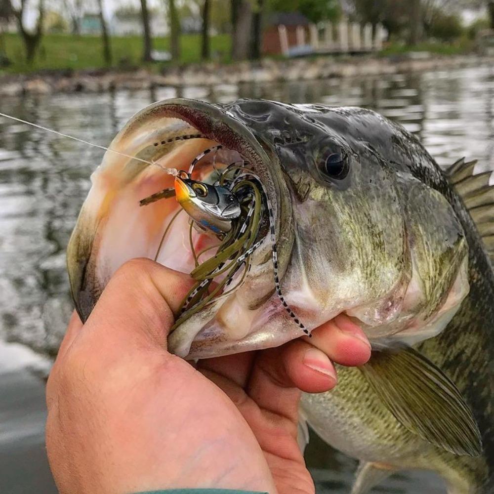 Bass Pike Walleye Beard Fishing Lure Chatter Spinner Bait 2023 Buzzbait  Sea Fishing