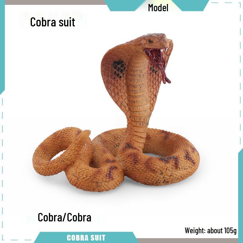 Reptile Simulation: Snake Wildlife Toy - Children's Cognitive Decor Model