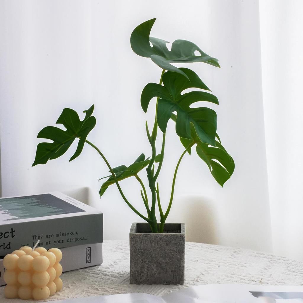 Artificial Turtle Back & Caladium Leaf Plants - Small Potted Decorations for Office, Living Room, or Coffee Table