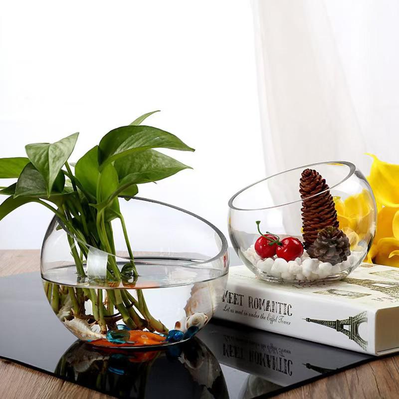 Raffinierte schräge Glasvase für elegante Aquarien & Hydrokultur-Ausstellungen